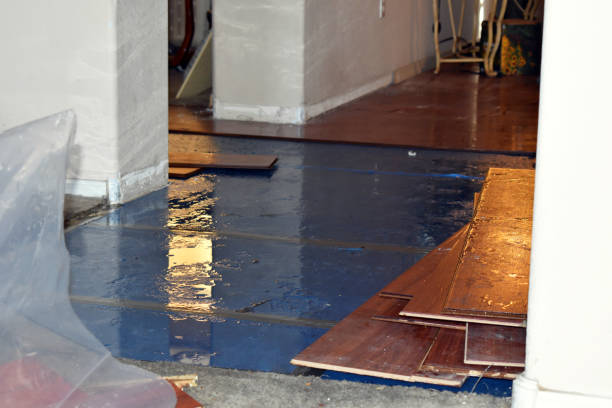 Professional Burst Pipe Cleanup technician working in Pike, NH